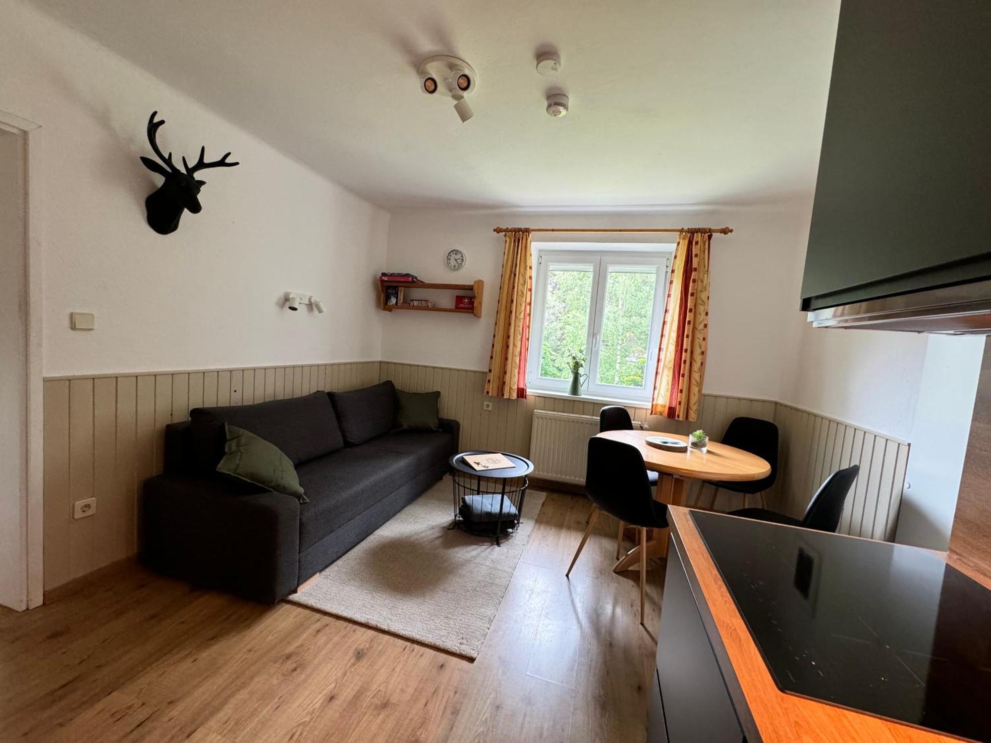 Carinthia Apartment